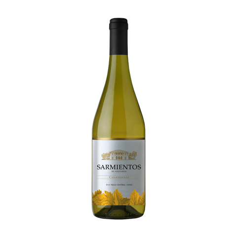 Sarmiento Tarapacá Chardonay 07 Botella